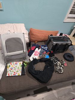 Cat items