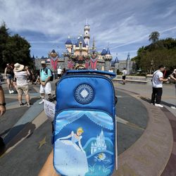 24 Hour Sale Club 33 Cinderella LUG Bag Exclusive RARE