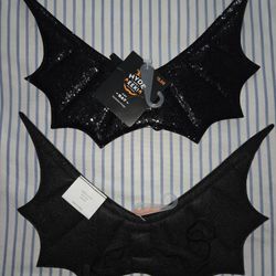 Halloween pet costumes 