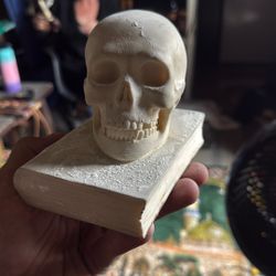 Vintage Skull And Book Paper Weight 