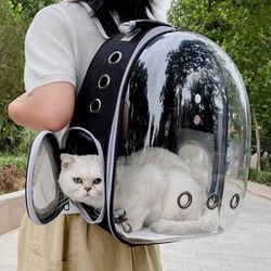 Cat Backpack 