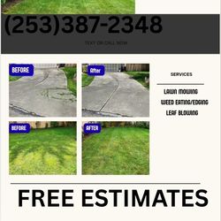 Lawn Care