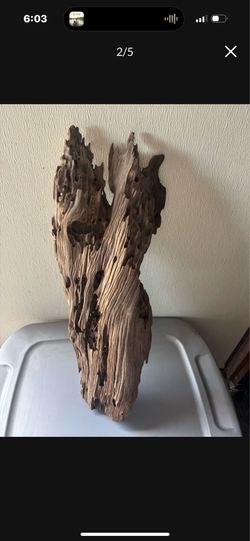 Natural Driftwood
