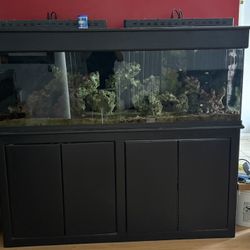125 Gallon Fish Tank 