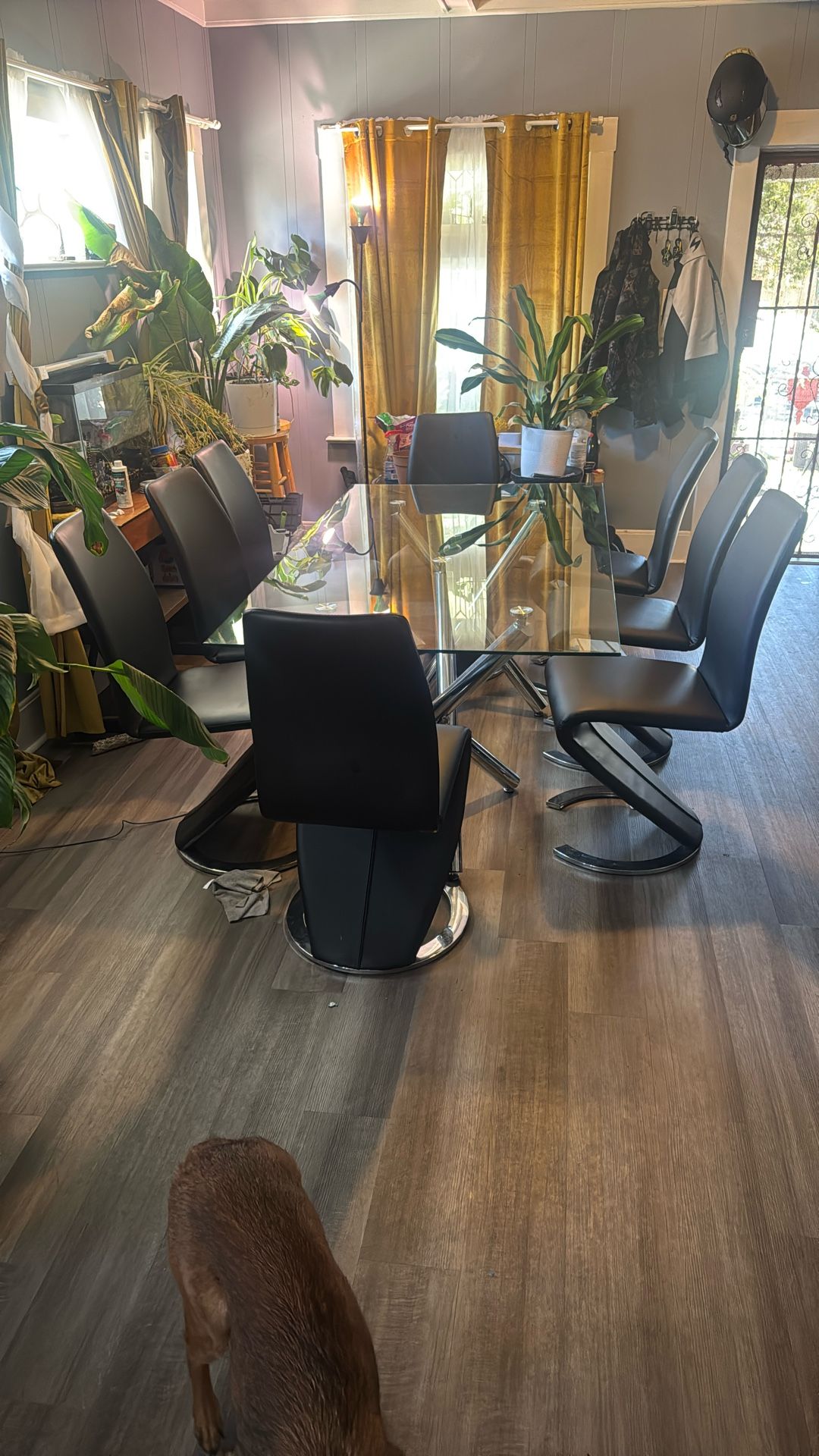 Chrome Glass Table Set With 8 Chairs