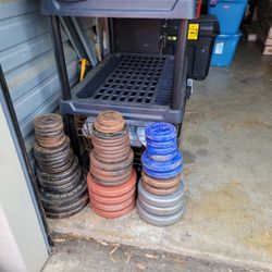 Free Weights And Accessories 