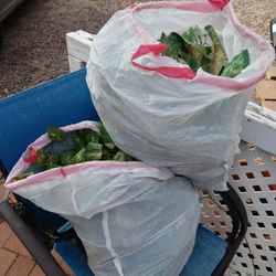 Two Bags Of Artificial Leaves / Plants