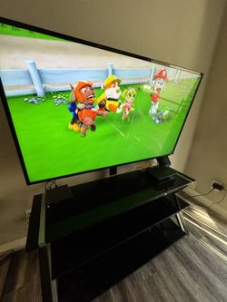 Vizio 55 Inch HD TV