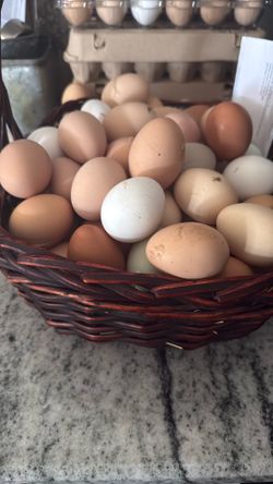 Fresh Eggs $6