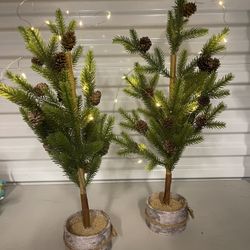 Pair Lighted Holiday Trees