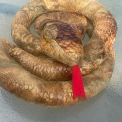 Harry Potter Snake 
