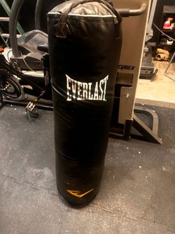Everlast 100lb punching bag