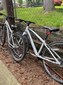 2 bikes $150