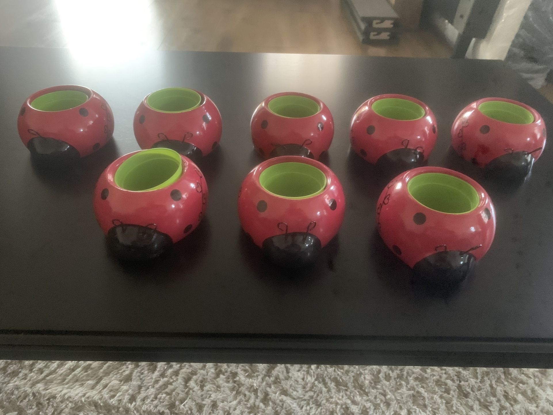 EIGHT LADY BUGS  PLANT POTS 