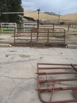 Cattle Gates For Sale