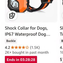 Shock Collar For Dog