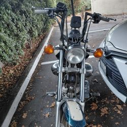 1995 Yamaha Virago 1100