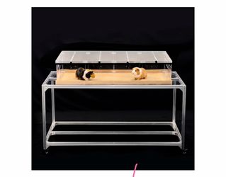 Guinea Loft - Large Acrylic Guinea Pig Enclosure