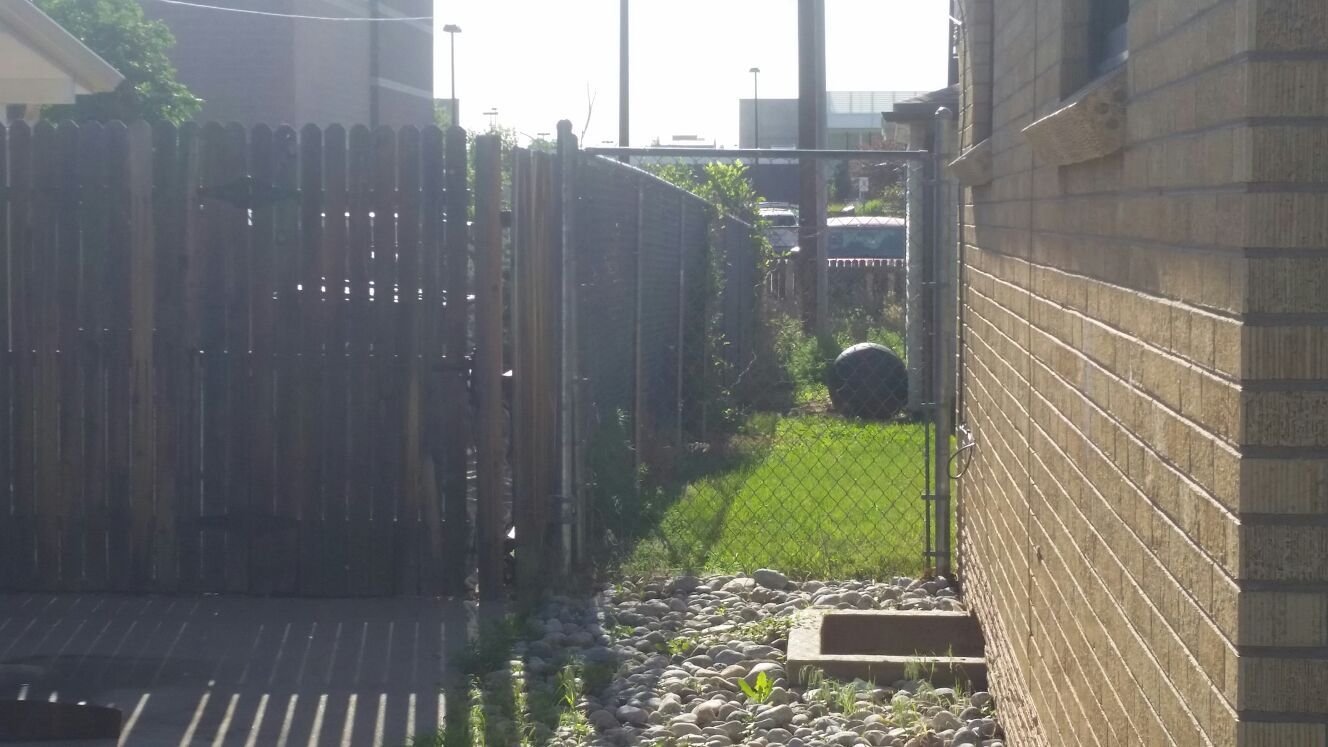 75 ft of chain link w gate and top rail no posts