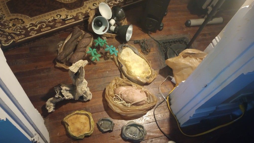 Reptile 🦎 Decorations And Accessories
