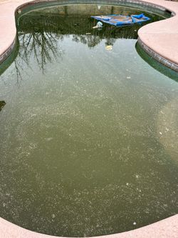GREEN POOL? MESSAGE ME