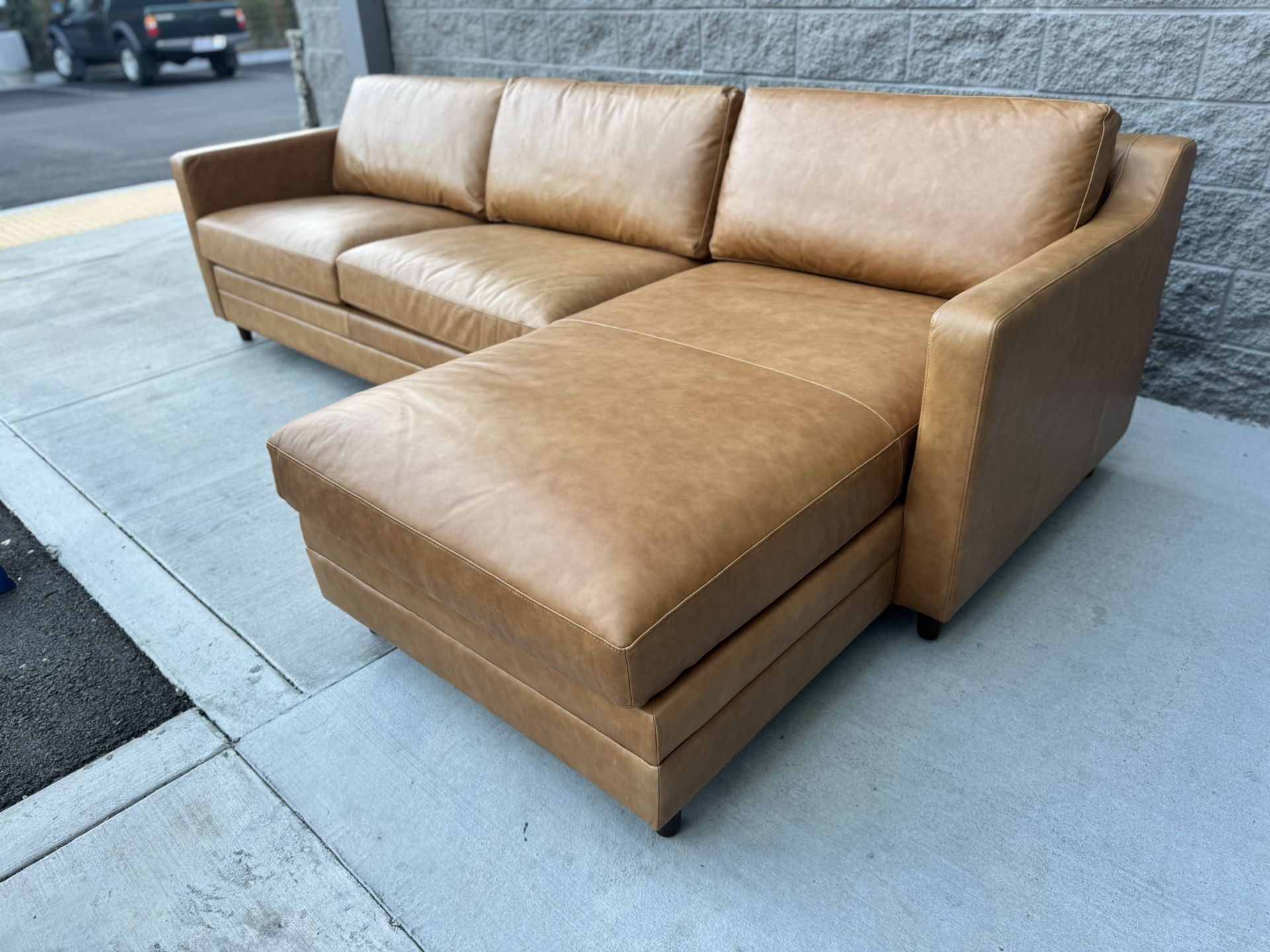 Sleeper Sectional Couch