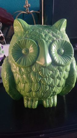 Green owl