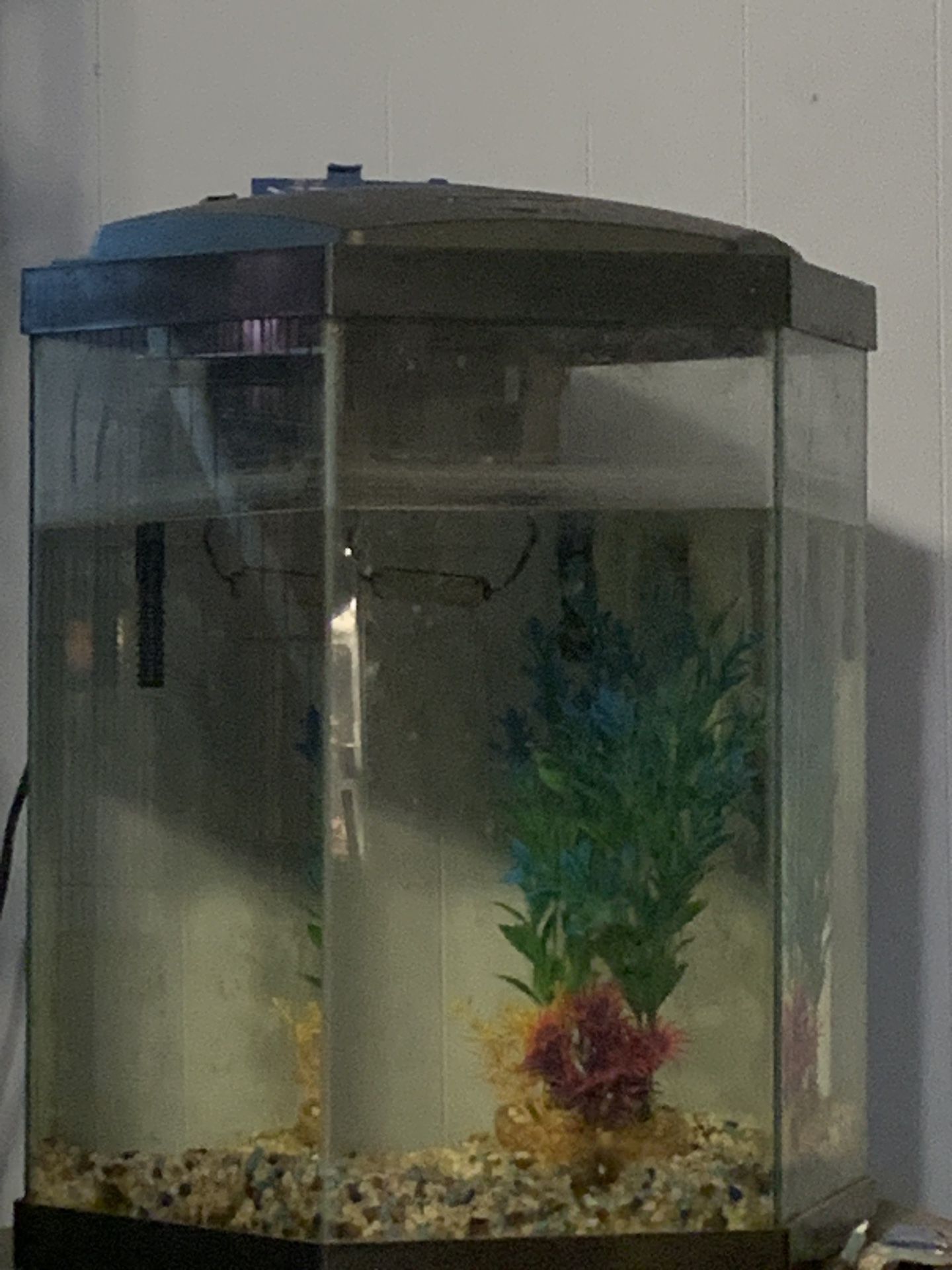 30 Gallon Aquarium