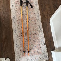 Evo 115cm Ski Poles