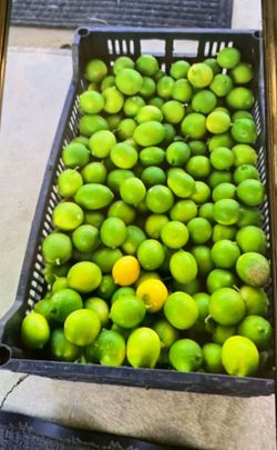 Caja De Limon