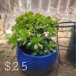 Cosas En Venta Diferentes Precios 
