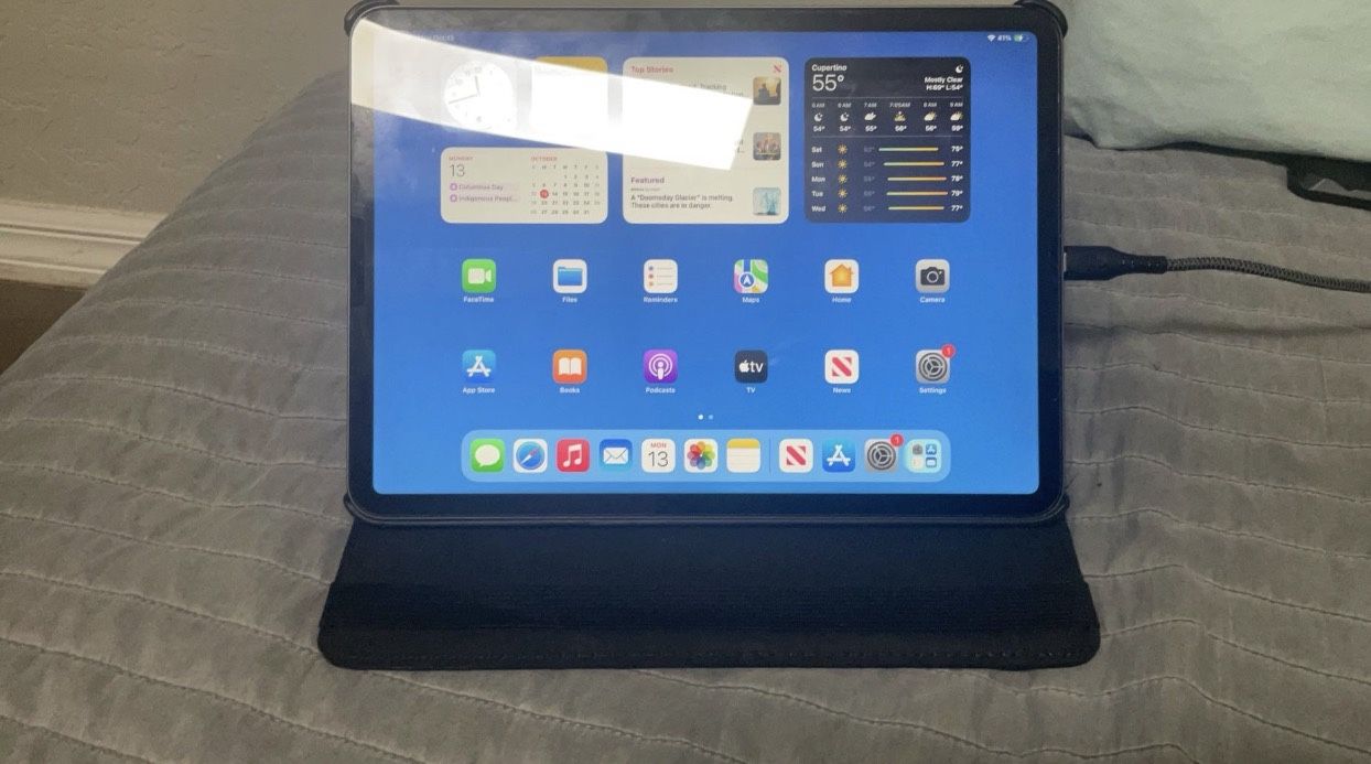 iPad Pro  11” 2nd Generation 128GB Wi-Fi Only (The Charging Port Is Lose, It Is On And Off)