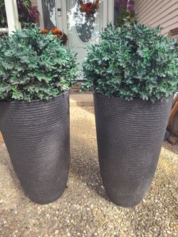 Tall Dark Gray Ribbed Planter Pots Set of 2 with TOPIARY TREES