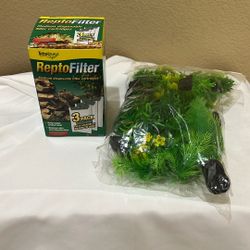 Repot Filter And Tank Greenery