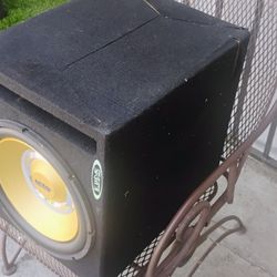 12 Inch Infinity Speaker