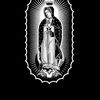 Jorge Damian