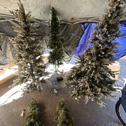 christmas trees….