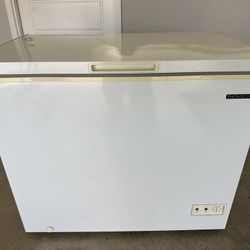 Thomson Deep Freezer 