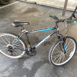 Road master Mountain Bike 