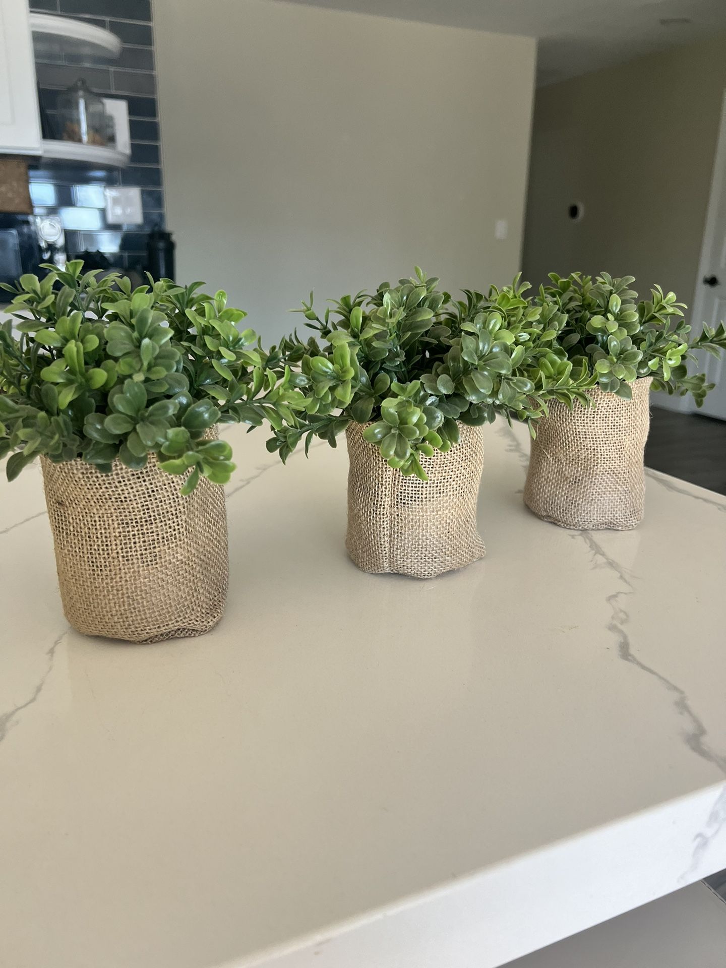 Decorative Faux Plants for Sale in Scottsdale, AZ OfferUp