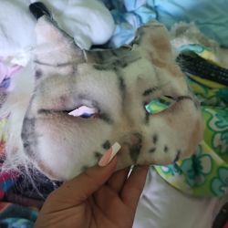 Tabby Cat