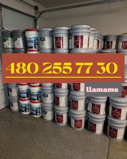 Paint for sale