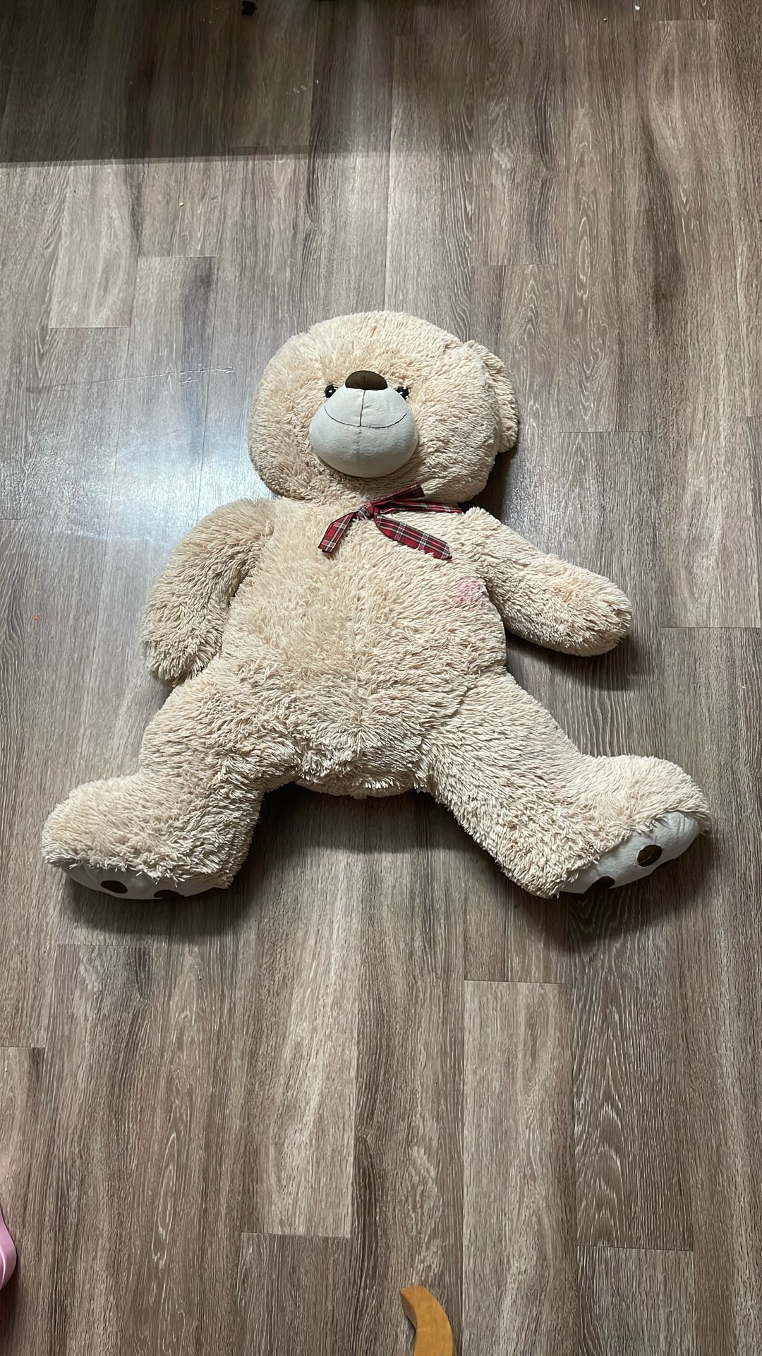 Teddy Bear