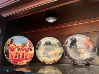 Labrador plates and stands