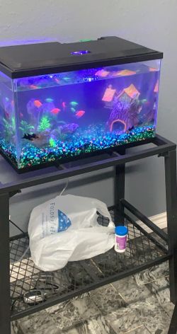 Selling tank ! 10 gallon