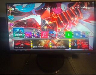 Acer 24” LCD Monitor
