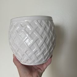 Plant Pot 
