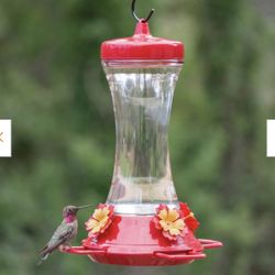 Adjustable Perch Glass Hummingbird Feeder