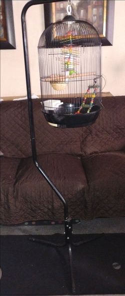 Beautiful Black Birdcage