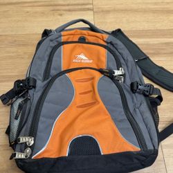 High Sierra Swerve Laptop Backpack
